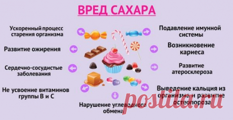 Отказ от сахара: что происходит с организмом по дням