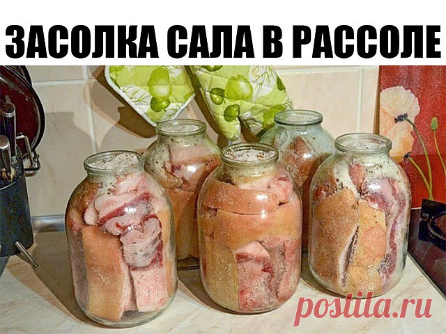 Засолка сала в рассоле в банке

Ингредиенты:
Сало — 1 Килограмм
Вода — 1 Литр (очищенная)
Соль — 100 Грамм
Чеснок — 3 Зубчика
Перец горошком — 10 Штук
Лист лавровый — 3 Штуки
Специи — 1 По вкусу

Рецепт:
1. Сало нарезаем кускками по 5-7 см. толщиной, промываем каждый кусочек под проточной водой и обсушиваем полотенцем. Складываем в чистую банку, но не очень плотно.
2. Сделаем рассол. Кипятим воду со всеми специями и солью. Когда вся соль растворится, выключаем огонь и доба...