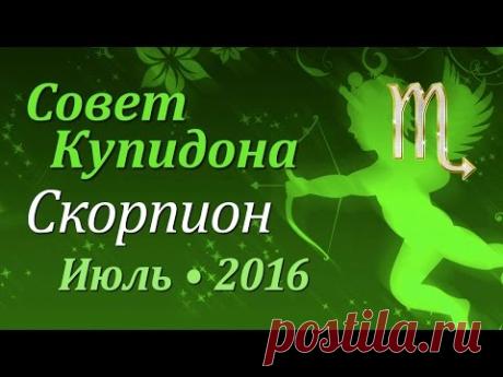 Скорпион, совет Купидона на июль 2016. Любовный гороскоп.