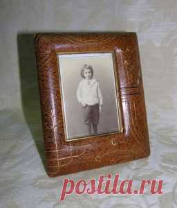 Фотографии