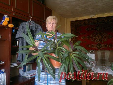 дети,животные,еда,ремонт.уют в квартире.