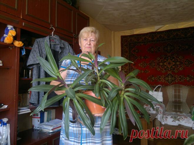 дети,животные,еда,ремонт.уют в квартире.