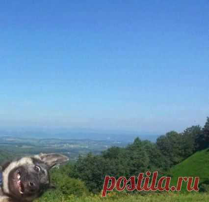 Фото дня.