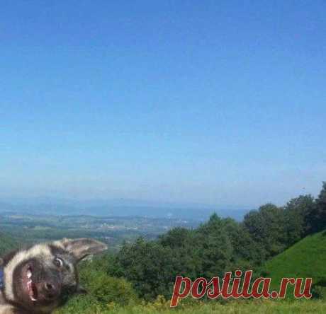 Фото дня.