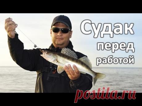 Судак перед работой
