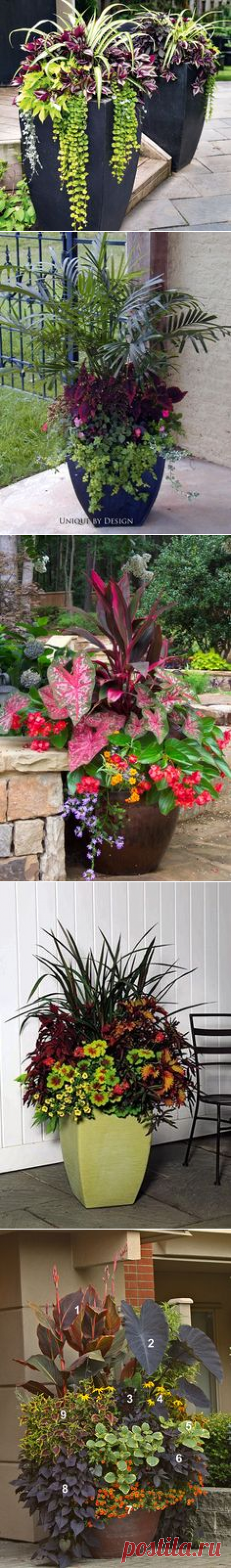 (4) Pinterest • Всемирный каталог идей