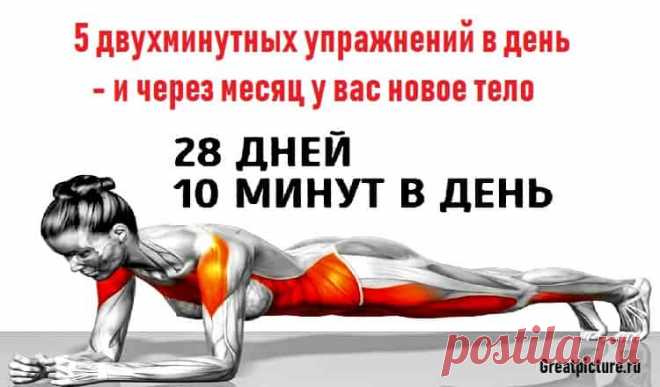 5 двухминутных упражнений в день - и через месяц у вас новое тело 5 двухминутных упражнений в день - и через месяц у вас новое тело.Вот программа тренировок на 28 дней.Похудение требует, в первую очередь