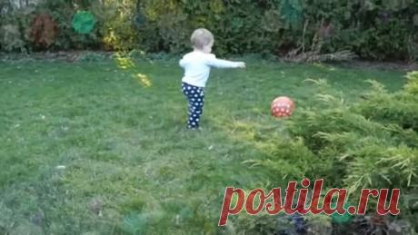 Коты и дети, лучшие друзья.