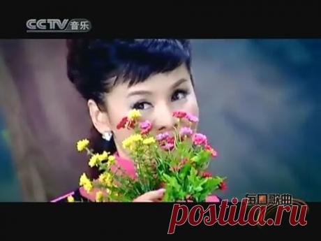 苏联歌曲《红莓花儿开》 Ой цветет калина - 中文版