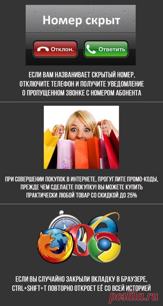 8 интересных фактов (8 фото)