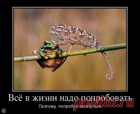Будь реалистом!, 37 смешных фото приколов