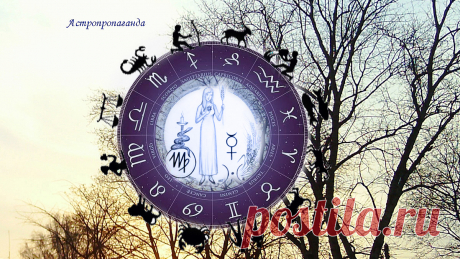 Дева. Недельные гороскопы с 27 ноября по 31 декабря 2023 | Гороскопы для Дев | Астропропаганда | Астролог Нина Стрелкова |