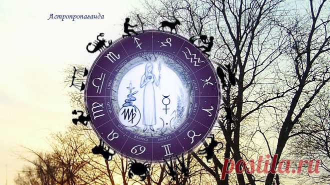 Дева. Недельные гороскопы с 27 ноября по 31 декабря 2023 | Гороскопы для Дев | Астропропаганда | Астролог Нина Стрелкова |