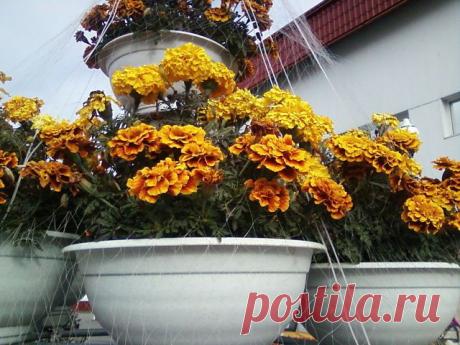 ЛЮДИ КАК МОГУТ ОБЛАГОРАЖИВАЮТ ГОРОД,СПАСИБО