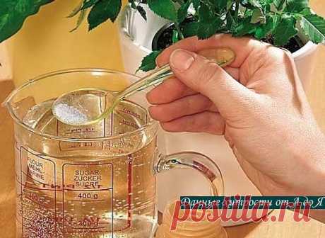 (9) Одноклассники