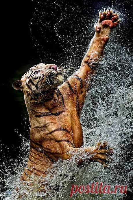 Grab | Most Beautiful Pictures