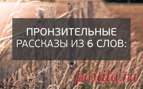 Пронзительные рассказы из шести слов.