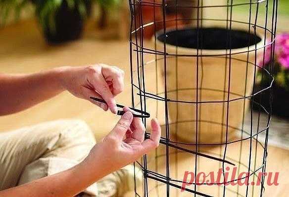 Вертикальная клумба с петунией — Сделай сам, идеи для творчества - DIY Ideas
