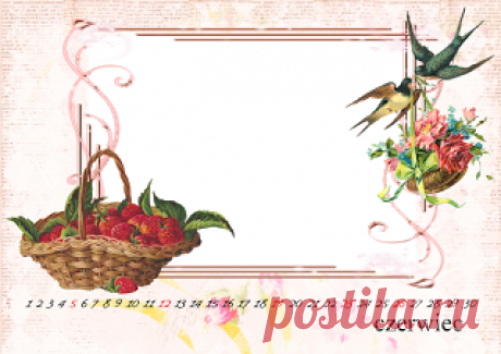 Zibi Vintage Scrap