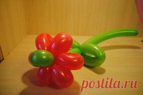Цветок из воздушных шаров :)