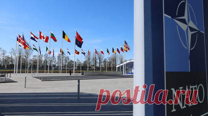 Правительство Венгрии не планирует торопить парламент с приёмом Швеции в НАТО. Правительство Венгрии не видит причин для созыва внеочередного заседания парламента ради ратификации членства Швеции в НАТО, сообщил министр иностранных дел Петер Сийярто. Читать далее