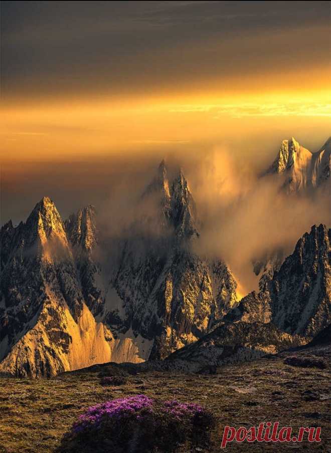 The World Is Beautiful