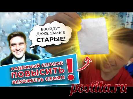 Надежный способ повысить всхожесть семян👍 Всходы уже через 3 дня. Взойдут даже самые старые!