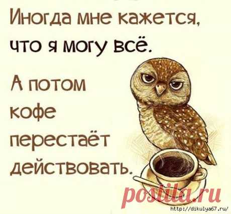 Немного позитива!