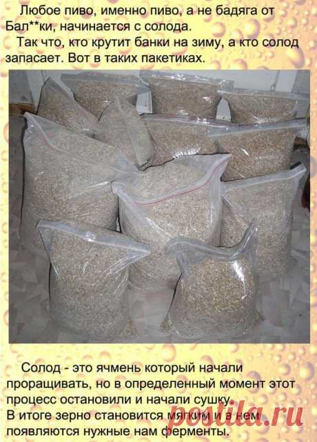 Рецепт настоящего домашнего пива