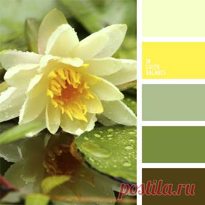 Цветы, деревья — источник вдохновения! | BepHuK собирает друзей