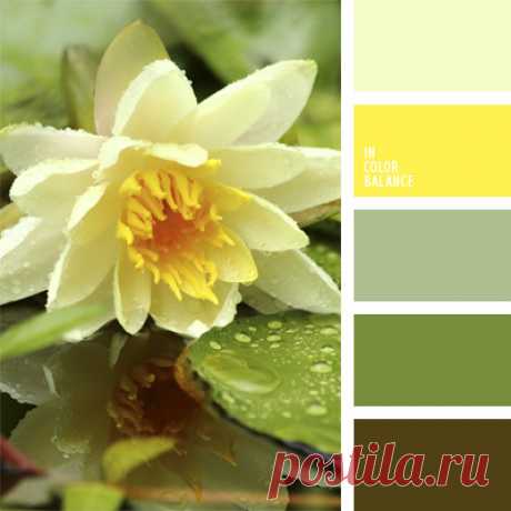 Цветы, деревья — источник вдохновения! | BepHuK собирает друзей