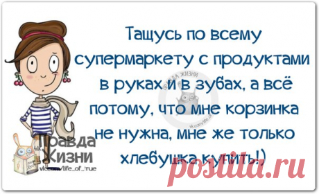 Прикольные картинки со смешными подписями, которые вызовут улыбку и поднимут настроение! 
 























