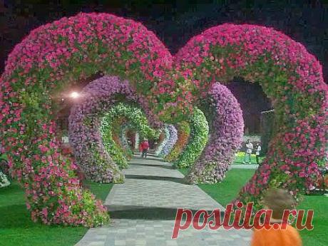 АЛЛЕЯ СЕРДЕЦ! (Объединенные Арабские Эмираты)