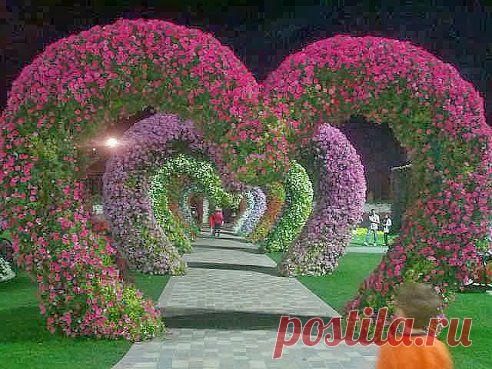 АЛЛЕЯ СЕРДЕЦ! (Объединенные Арабские Эмираты)