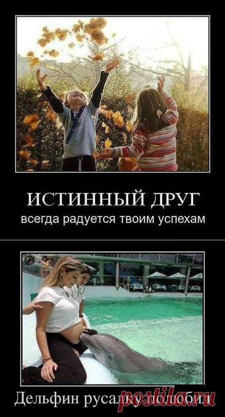 Демотивация продолжается! / Приколы