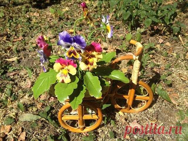 Керамическая флористика по созданию анютины глазки