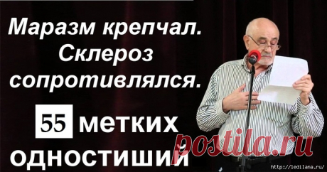 «Мечтала сдуру стать ещё умнее»