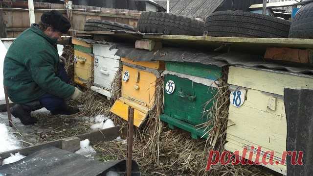 Работа на пасеке в марте