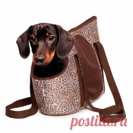 ►Bolsa De Transporte Para Cães Stillo Tamanho P - Lilás Listrada/Cor Onça | edihitt...agregador