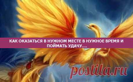 КАК ОКАЗАТЬСЯ В НУЖНОМ МЕСТЕ В НУЖНОЕ ВРЕМЯ И ПОЙМАТЬ УДАЧУ....