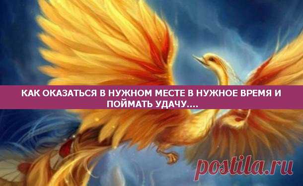 КАК ОКАЗАТЬСЯ В НУЖНОМ МЕСТЕ В НУЖНОЕ ВРЕМЯ И ПОЙМАТЬ УДАЧУ....