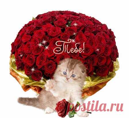 Одноклассники