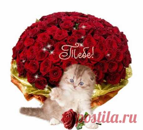 Одноклассники
