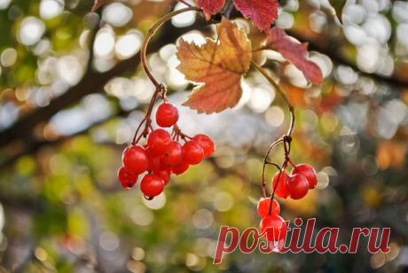 КАКОЙ СЕГОДНЯ ПРАЗДНИК? 20 Сентября 2016 г. – Вторник • День устраивания спонтанных чаепитий • День рекрутера 15 лет • День общественнополезного человека • Международная ночь летучих мышей • День независимости - Южная Осетия 26 лет • День нефтяников - Азербайджан • День таможенника - Беларусь • День предпринимателя - Кыргызстан • Луков день • Именины у Иоанна, Макария, Луки, Григория, Ивана, Евгения, Михаила, Степана, Андрея, Петра