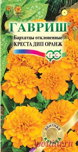 Бархатцы отклоненные "Креста Дип Оранж"