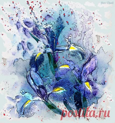 Dr Chernykh A.D. (@sanchad7) | Твиттер