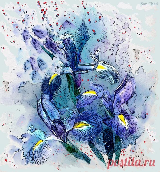 Dr Chernykh A.D. (@sanchad7) | Твиттер