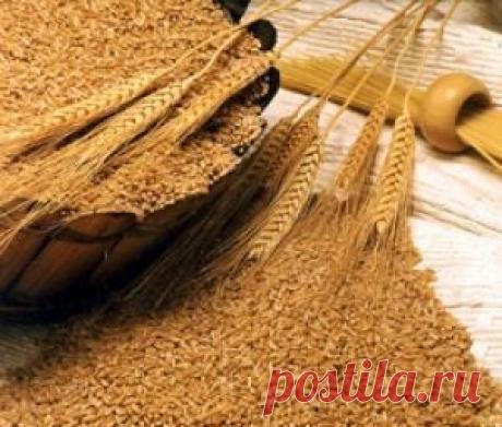 Пшеничные отруби для ухода за кожей | Домохозяйки