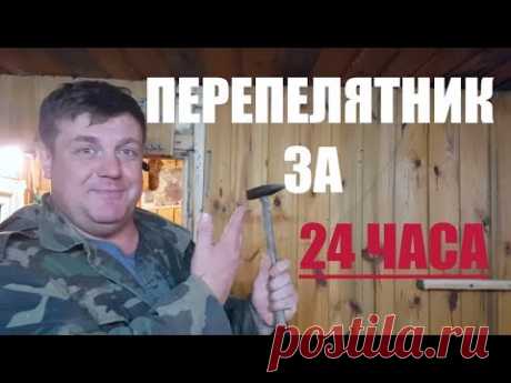 ПЕРЕПЕЛЯТНИК за 24 часа своими руками. Подсобное хозяйство.