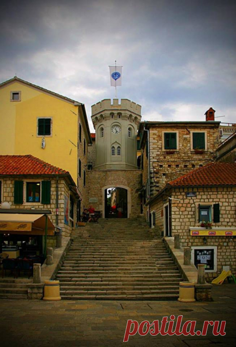 (1) Olga Vasilevskaya
Herceg Novi
